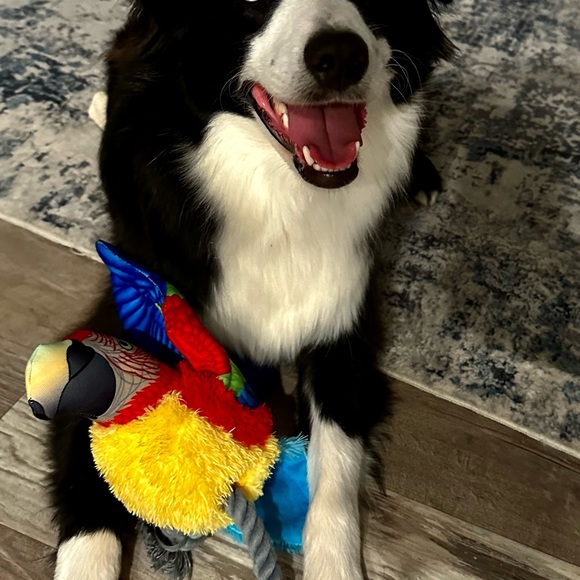 LAREE IS LIVE - FREE LABUBUS AND HUGE DEALS 🤖💕❤️ - Picture 5 of 5